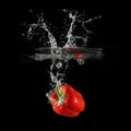 Red bell pepper falling in water with splash on black background, paprika, stop motion photography Royalty Free Stock Photo